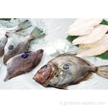 Pesce John Dory